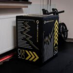 złoty niedźwiedź galeria1