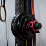 złoty niedźwiedź cennik